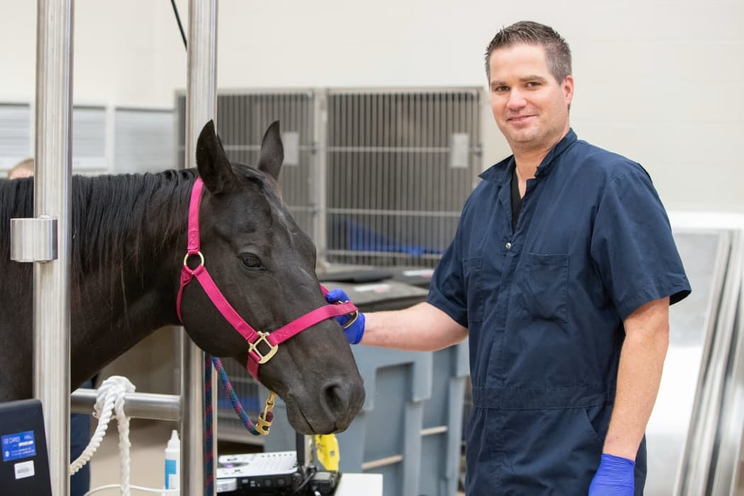 Chris Tiller - From MLB Umpire to Veterinarian