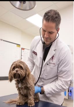 Dr. Christopher Tiller, DVM — Founder of VetGeni