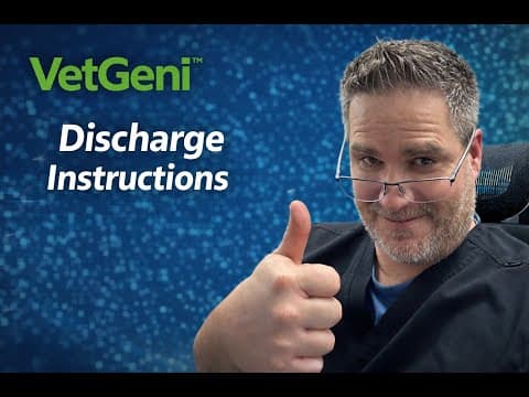 How to Generate Veterinary Discharge Instructions [Video Tutorial]