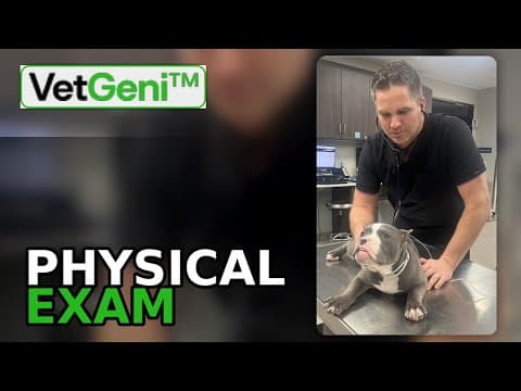 How to Document Veterinary Physical Exams with AI [Video Tutorial]