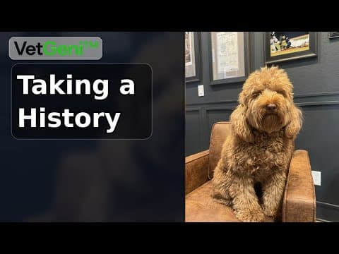 How to Take Veterinary Patient History with AI [Video Tutorial]